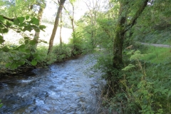 10. Upstream from Larcombe Foot (7)