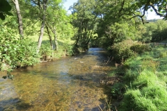 10. Upstream from Larcombe Foot (8)
