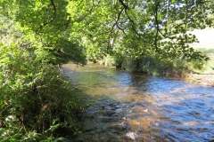 10. Upstream from Larcombe Foot (9)