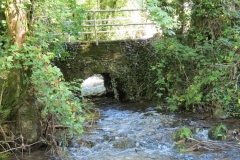 13. Larcombe Brook joins the River Exe (1)