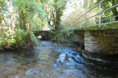 13. Larcombe Brook joins the River Exe (2)