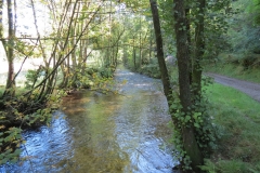4. Looking downstream from Nethercote Bridge