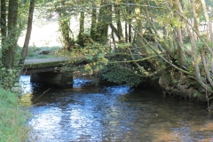 5. Looking upstream to Nethercote Bridge (1)