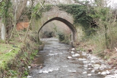 50. New Bridge Upstream Arch
