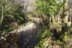 67. Flowing to Bossington