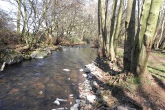 71. Flowing to Bossington