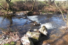 72. Flowing to Bossington