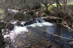 73. Flowing to Bossington