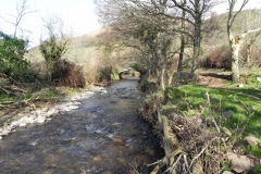 74. Looking downstream to Green Bridge