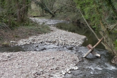 81. Downstream from confluence with River Aller