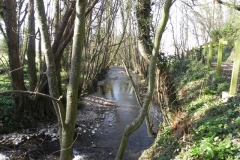 90. Downstream from North Bridge