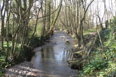 91. Downstream from North Bridge
