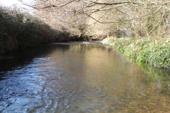 92. Downstream from North Bridge