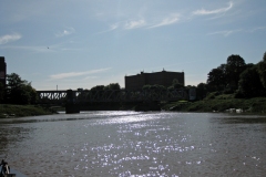 IMG_1339_edited