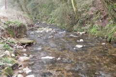 11. Flowing by West Wood