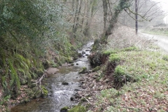 12. Flowing by West Wood