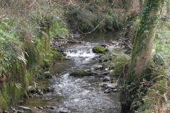 14. Flowing by Timber Wood