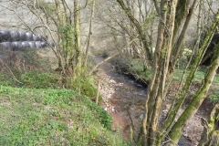 35. Downstream from Steart