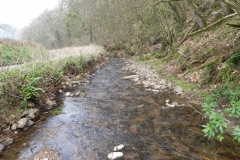 8. Flowing by West Wood