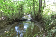 River Tone Tributaries