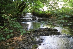 14.-Joins-River-Tone