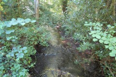 9a.-Upstream-from-River-Tone