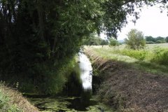 North Wooton Rhyne