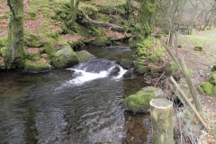 10. Downstream from Nutscale Mill