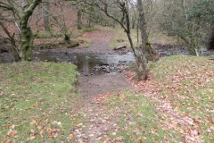 23. Ford in Pool wood