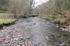 25. Flowing through Pool Wood