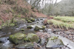 26. Flowing through Pool Wood