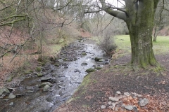 27. Flowing through Pool Wood