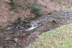 30. upstream from Pool Bridge