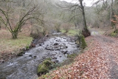 31. upstream from Pool Bridge