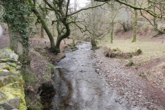 35. Looking upstream from Pool Bridge