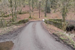 38. Pool Bridge