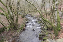 42. Looking downstream from Pool Bridge