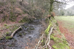 6. Downstream from Nutscale Mill