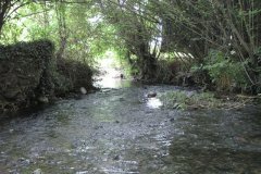 11a..-Downstream-of-Monarchs-Way