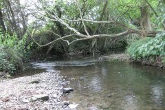 15.Downstream-from-Woodford-Farm-Accomodation-Bridge-East
