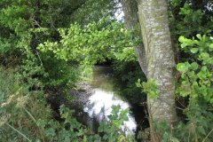 17.Downstream-from-Woodford-Farm-Accomodation-Bridge-East