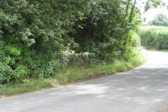 27.Woodford-Bridge
