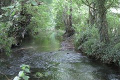 29.-Downstream-View-from-Woodford-Bridge