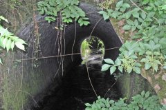 3.Dulcote-Railway-Culvert-Looking-Downstream