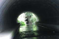 7.A371-Culvert-Looking-Upstream