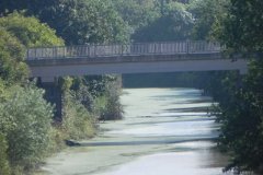 6.-Brue-Bridge-Downstream-Face