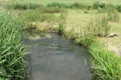 13.-Looking-downstream-from-ROW-Bridge-No.874