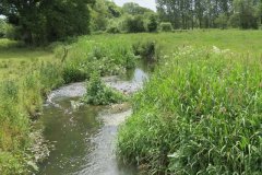 17.-Looking-upstream-from-ROW-Bridge-No.874