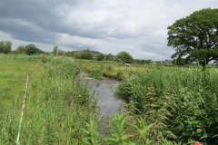 18.-Upstream-from-ROW-Bridge-No.874