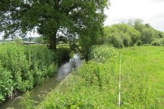 19.-Upstream-from-ROW-Bridge-No.874